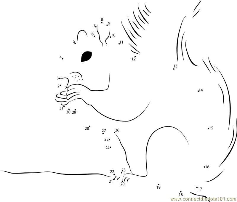 https://cdn.road.cc/wp-content/uploads/roadcc/Squirrel_connect_dots.png
