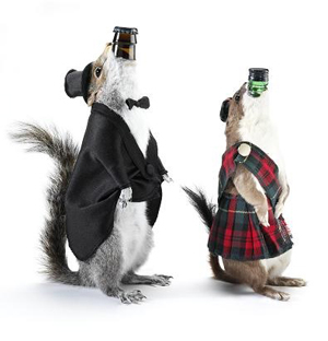 https://cdn.road.cc/wp-content/uploads/roadcc/brewdog-squirrels-fancy-dress.jpg