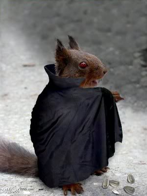 https://cdn.road.cc/wp-content/uploads/roadcc/c38bb-_vampire_squirrel.jpg