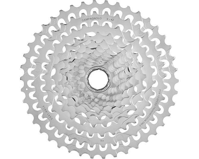 campagnolo ekar sprockets