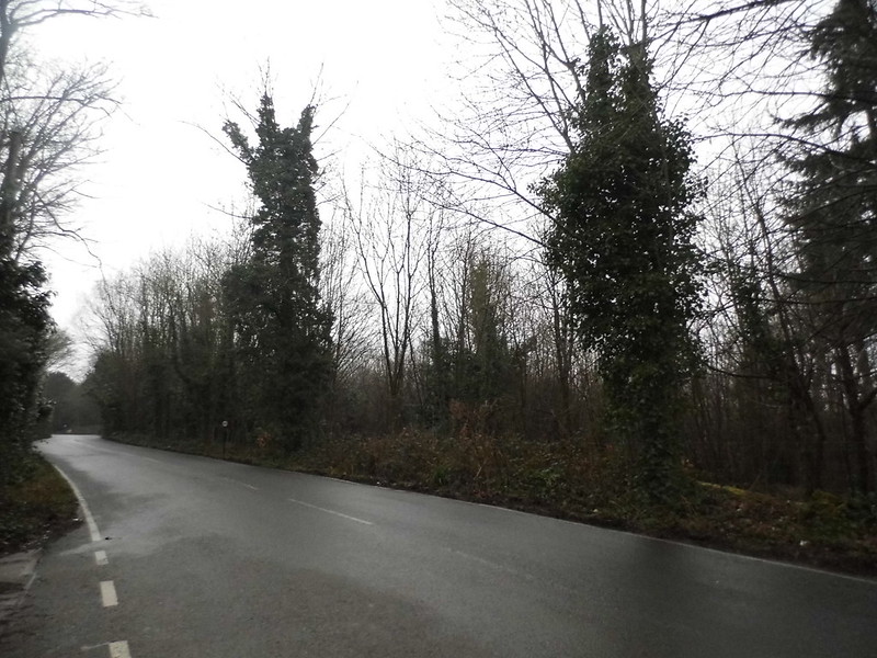 Chart Lane – licensed under CC BY 2.0 by David Howard flickr creative commons