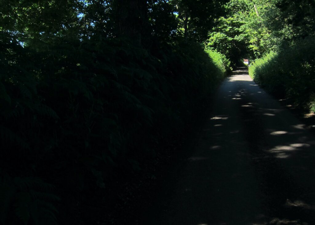 Coffee Ride with komoot – Sussex Lanes – Longhouse Lane 108