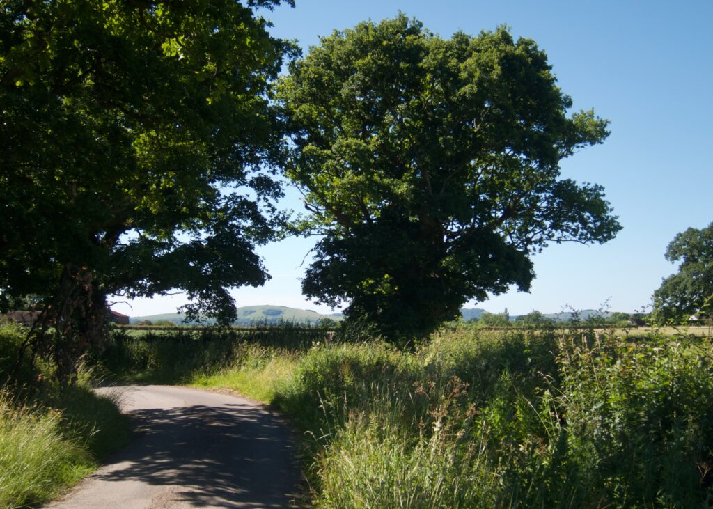 Coffee Ride with komoot – Sussex Lanes – Pomper Lane 125