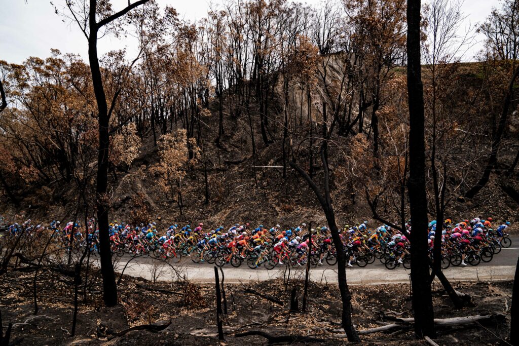 2020 Tour Down Under peloton rides through bushfire-affected area