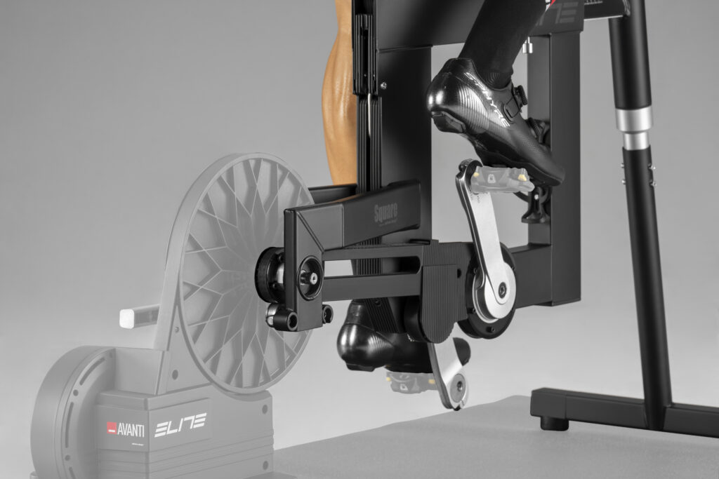 Elite Square rear detail