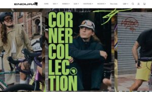 Fake Endura website 2025
