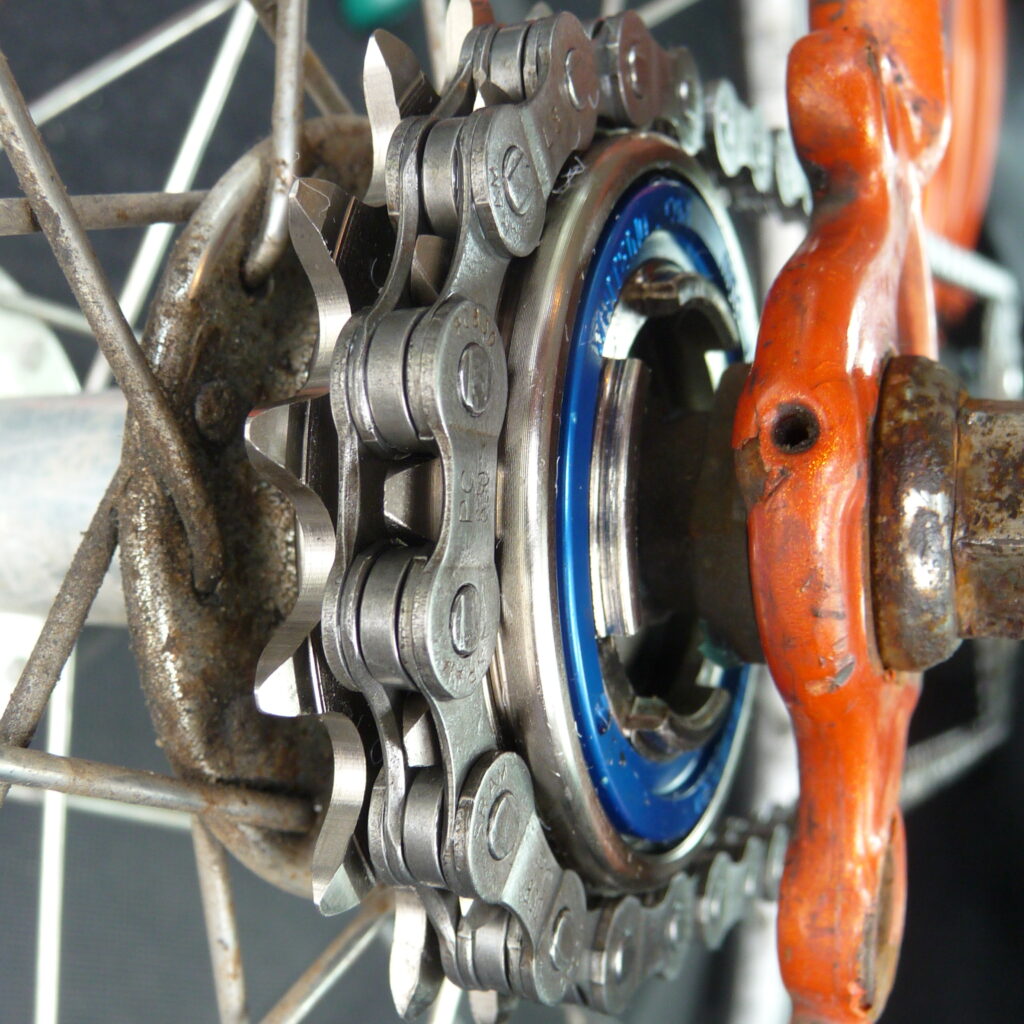 Freewheel (CC BY 2.0 Rex Roof|Flickr)