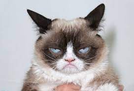 https://cdn.road.cc/wp-content/uploads/roadcc/grumpy.jpg
