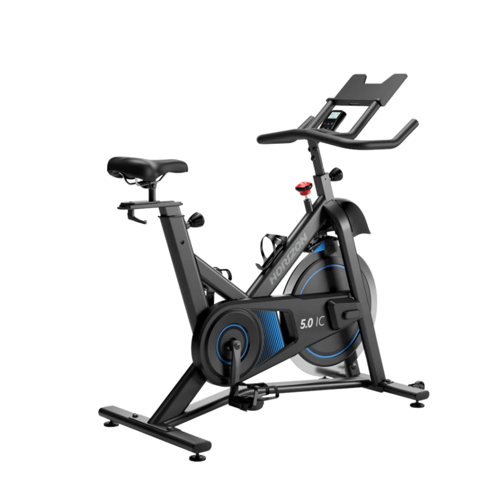 Horizon 5.0IC Indoor cycle