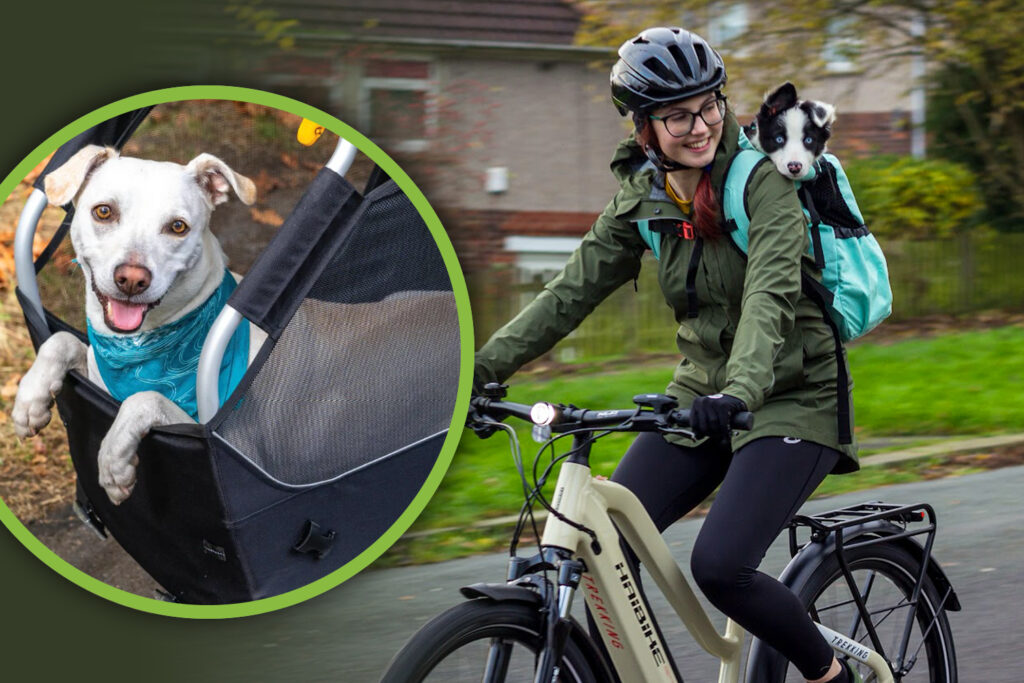 How to ride with your dog May 2025