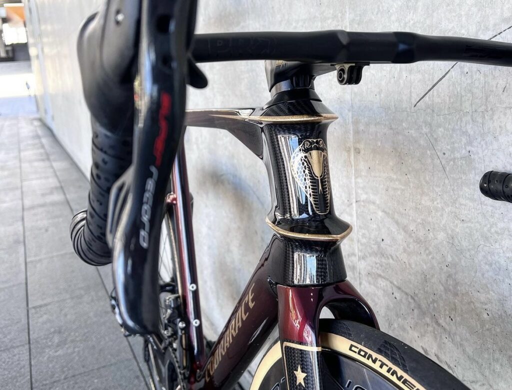 2022 Cobrarace 111 Vasili Design cockpit