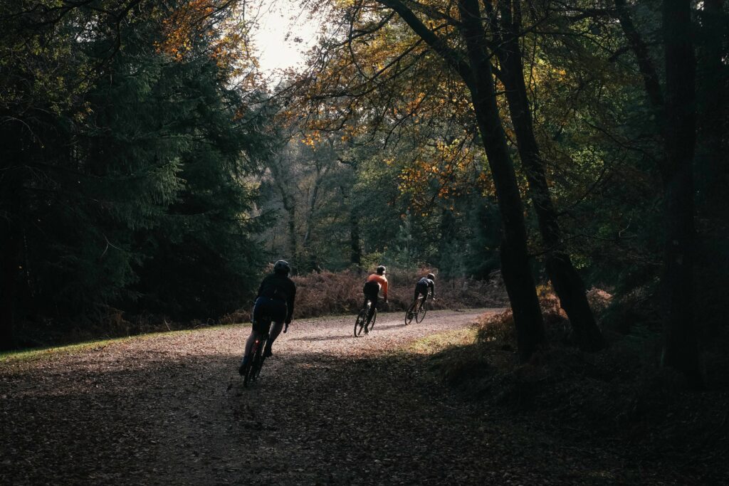komoot new forest 1