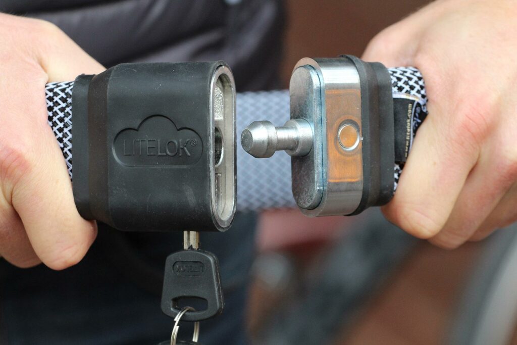 Litelock Gold &ndash; lock detail.jpg