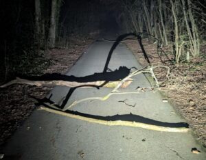 Logs placed across Isle of Wight cycle path