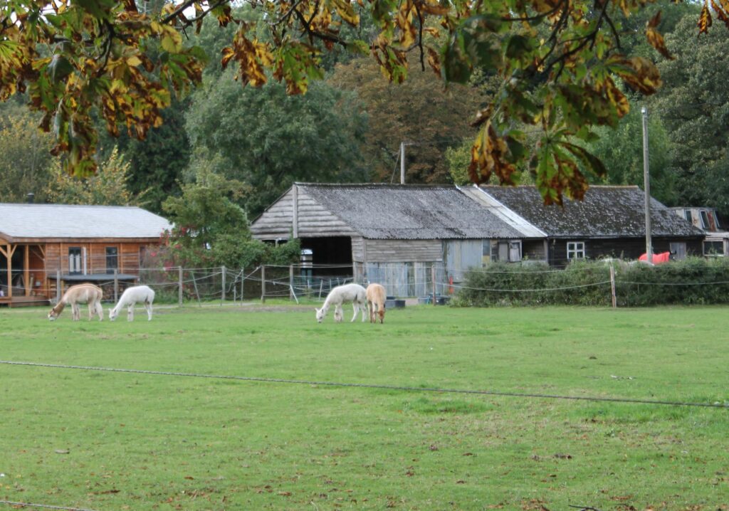 Mat's Salibury Plain blast - 15