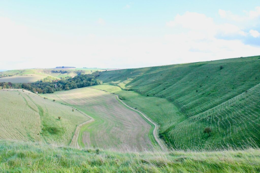 Mat's Salibury Plain blast - 2