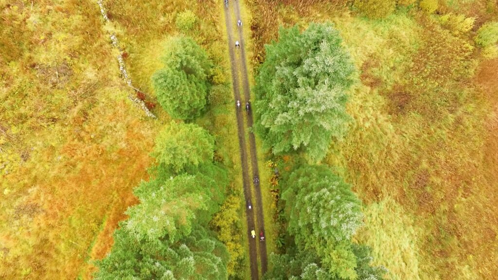 Overhead shot2