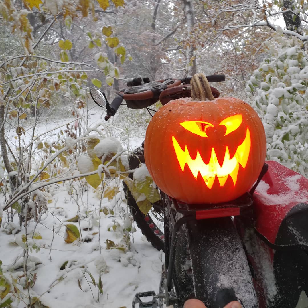 https://cdn.road.cc/wp-content/uploads/roadcc/pumpkin_0.jpg