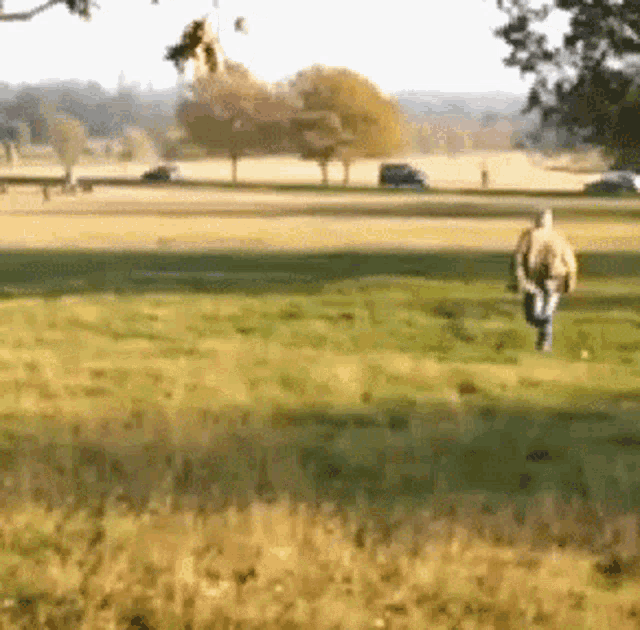 https://cdn.road.cc/wp-content/uploads/roadcc/run-fenton.gif
