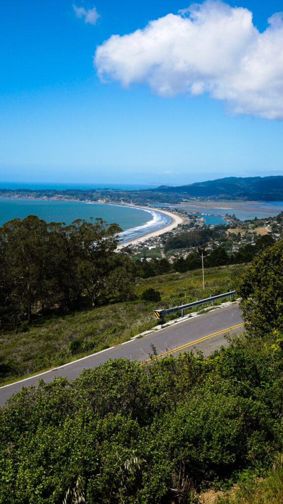 San Francisco 14 &ndash; credit Bradley Shenton