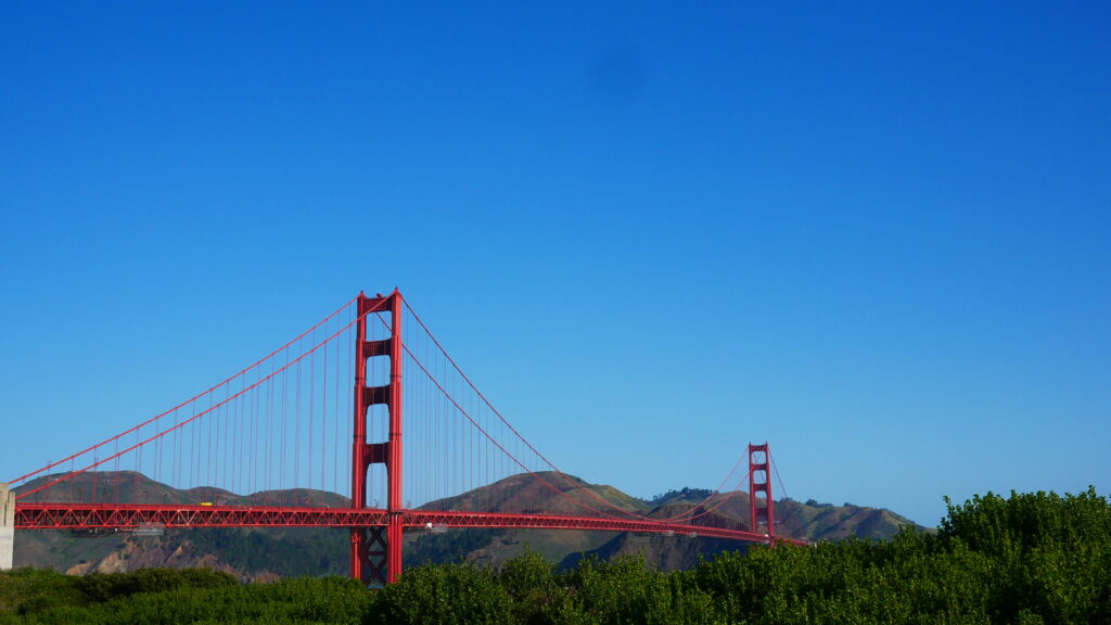 San Francisco 2 &ndash; credit Bradley Shenton