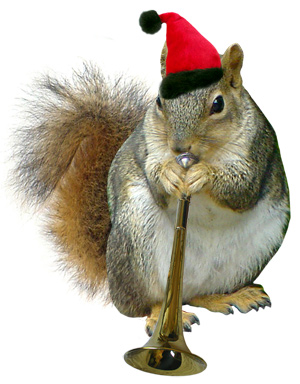 https://cdn.road.cc/wp-content/uploads/roadcc/santasquirrel-horn.jpeg