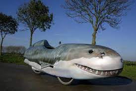 https://cdn.road.cc/wp-content/uploads/roadcc/shark.png