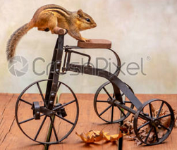 https://cdn.road.cc/wp-content/uploads/roadcc/sqtrike.png
