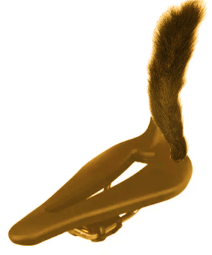 https://cdn.road.cc/wp-content/uploads/roadcc/squirrcycle.png