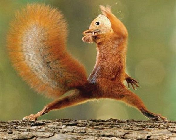 https://cdn.road.cc/wp-content/uploads/roadcc/squirrel+lunge.jpg
