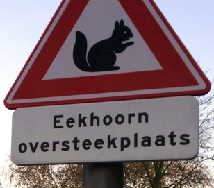 https://cdn.road.cc/wp-content/uploads/roadcc/squirrelcross.png