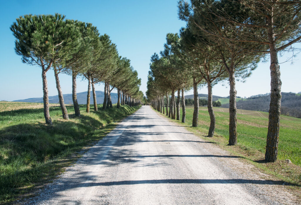 Strade Bianche road in Tuscany