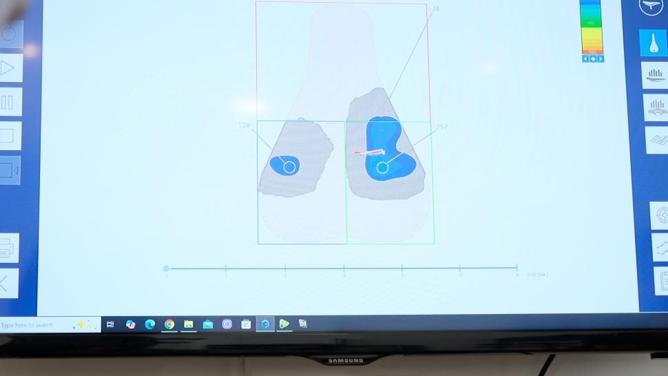 Liam saddle pressure mapping 9