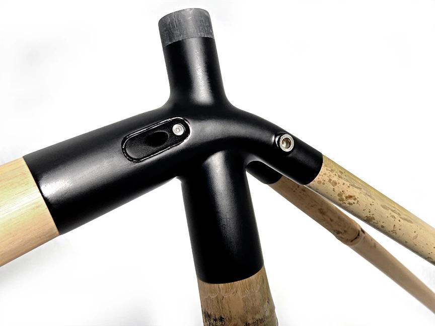 2021 Bamboo easy build 6