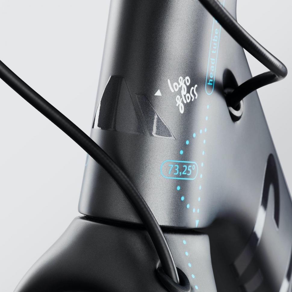 2021 Canyon Ultimate CF SLX Ltd Artist Edition Erik Spiekermann - 31.jpeg