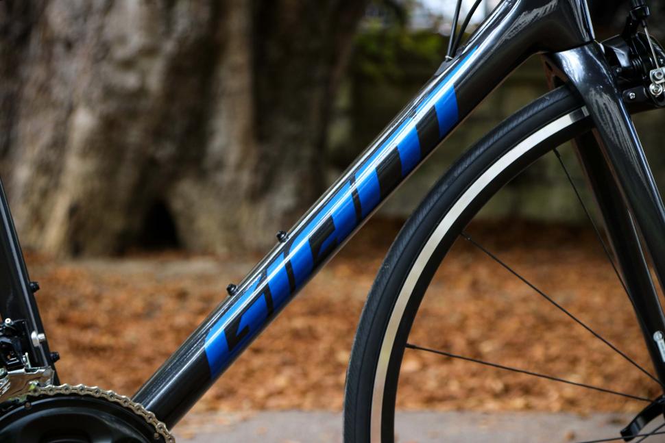 2022 Giant TCR Advanced 2 - down tube.jpg