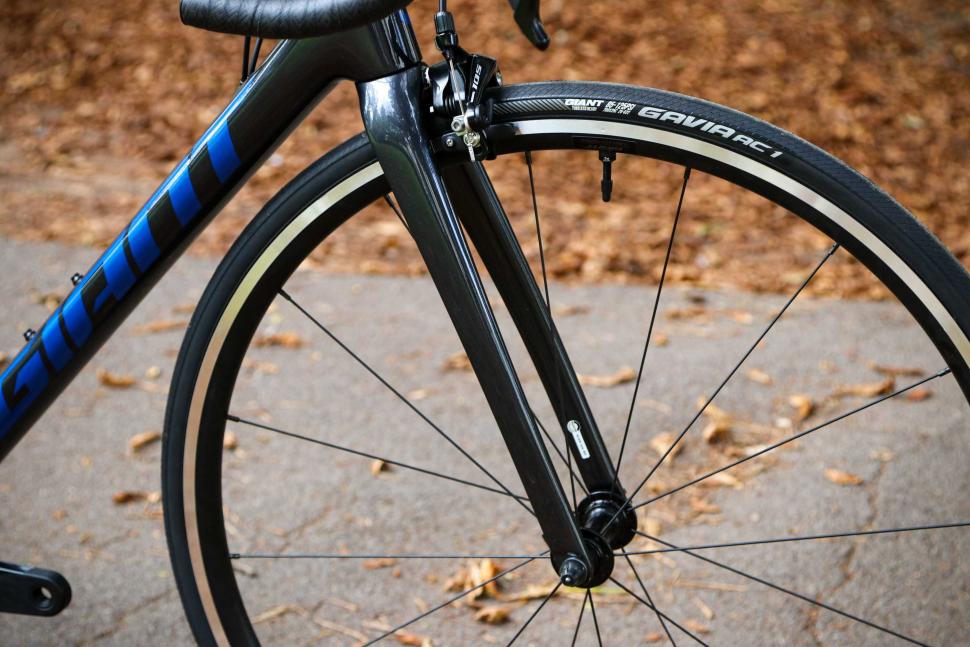 2022 Giant TCR Advanced 2 - fork.jpg