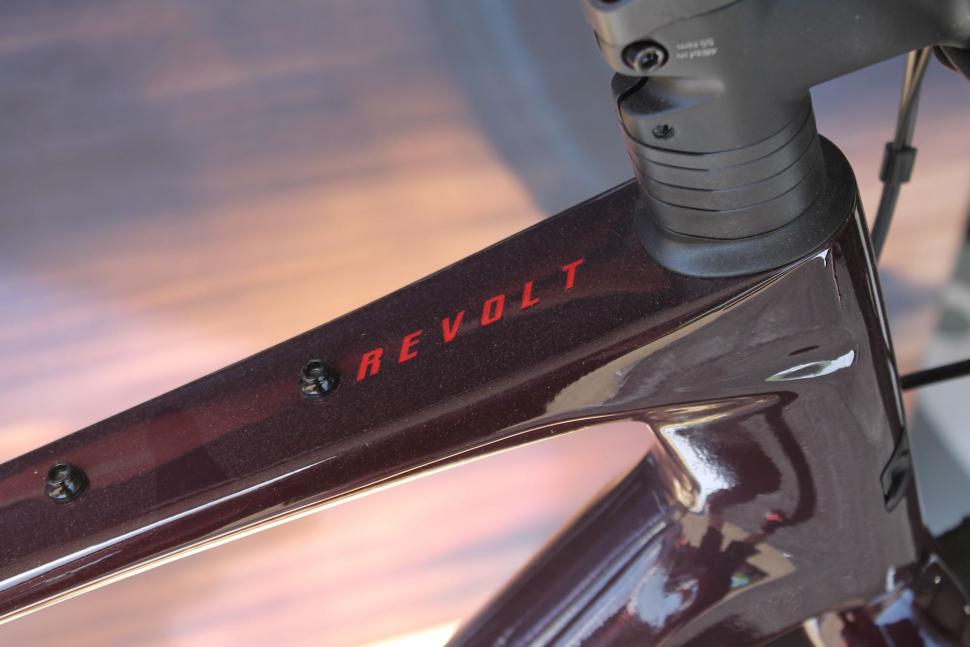 2022 Sea Otter Giant Revolt - 2.jpeg