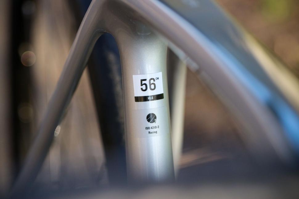 2022 Trek Emonda SL 5 Disc - frame size.jpg