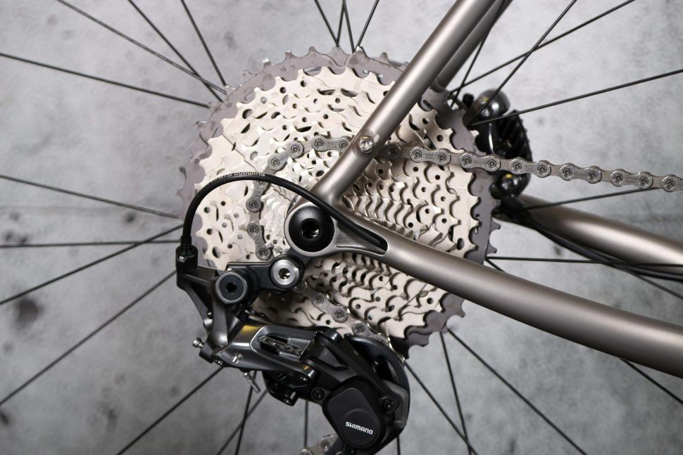 2023 Enigma Edge - rear dropout.jpg