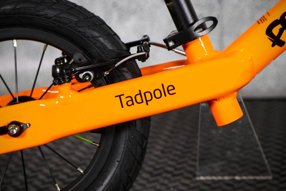 2023 Frog Tadpole balance bike - chain stay.jpg