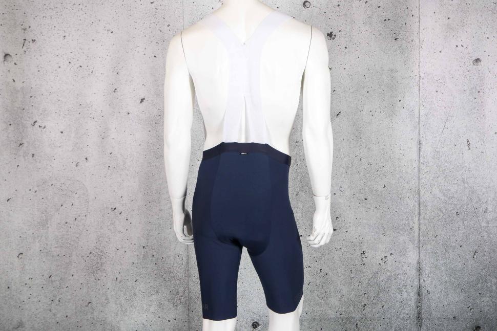 2023 Gore Long Distance Bib Shorts + 2.0 - back.jpg