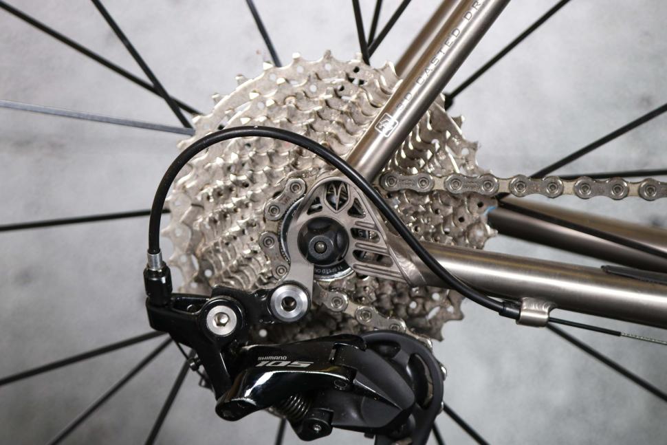 2023 Van Nicholas Boreas - rear drop out.jpg