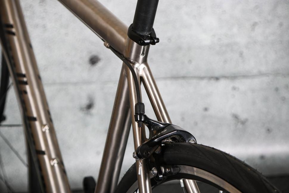 2023 Van Nicholas Boreas - seat stays and rear brake.jpg