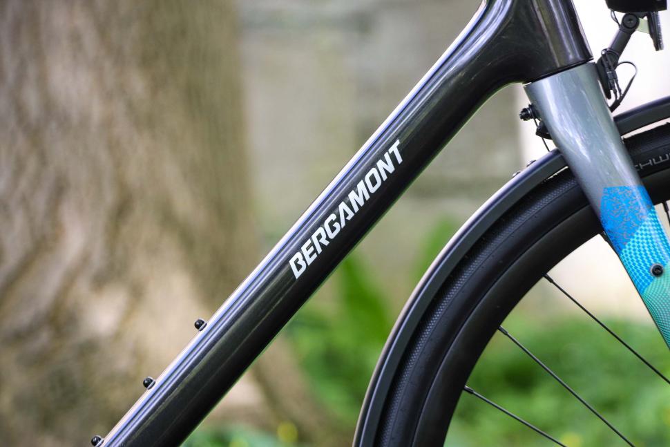 2024 Bergamont Grandurance RD Elite - downtube.jpg