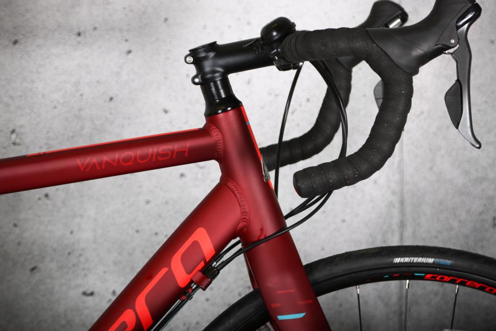 2024 Carrera Vanquish - head tube.jpg