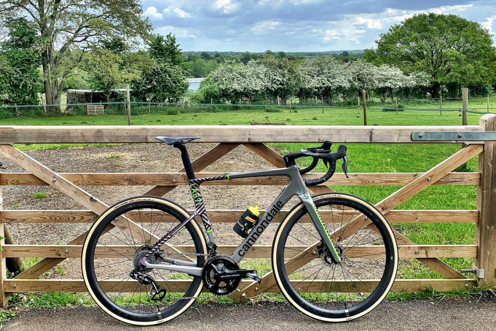 2024 Fulcrum Speed 42 fitted on bike profile.jpg