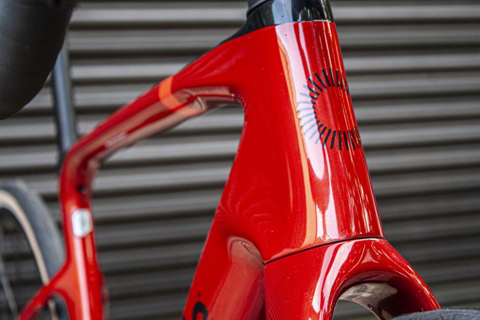 2025 Cannondale Synapse Carbon 4 headtube detail.jpg