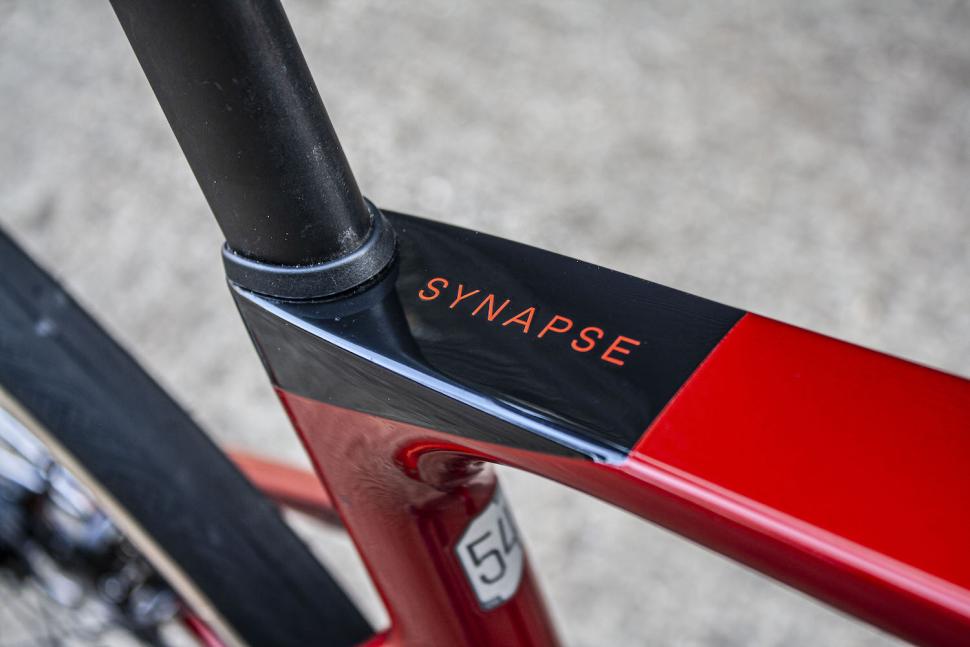 2025 Cannondale Synapse Carbon 4 name logo.jpg
