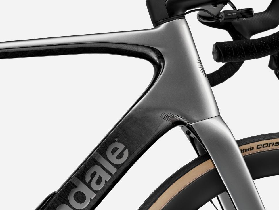 2025 Cannondale Synapse Lab 71 head tube